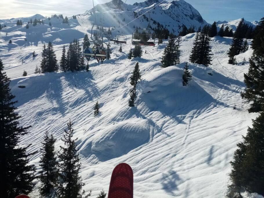L'appartement LES BOSSONS en lisière de forêt dans le chalet Génépi photo 2