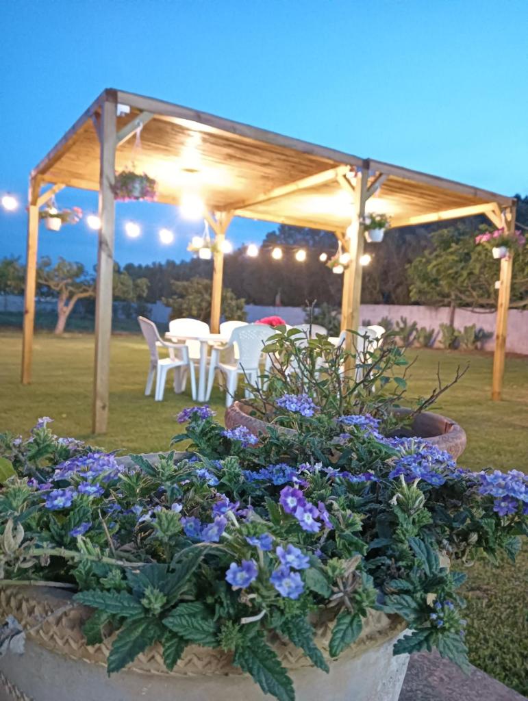 Casa vacanze Salento: Villa Charlotte photo 1