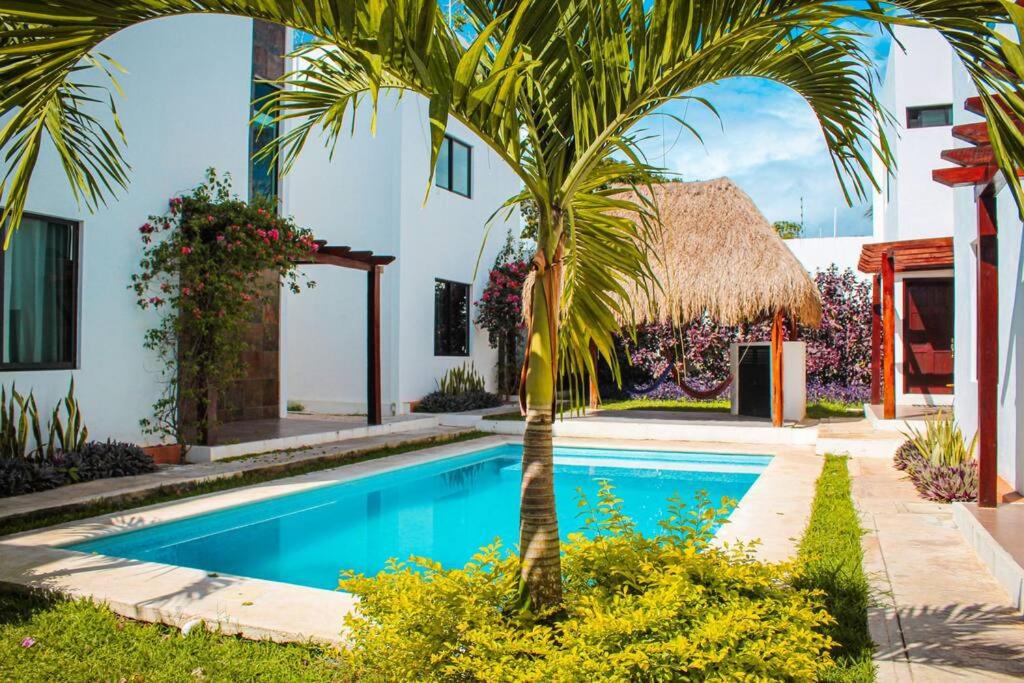 Casa Mágico Bacalar photo 1