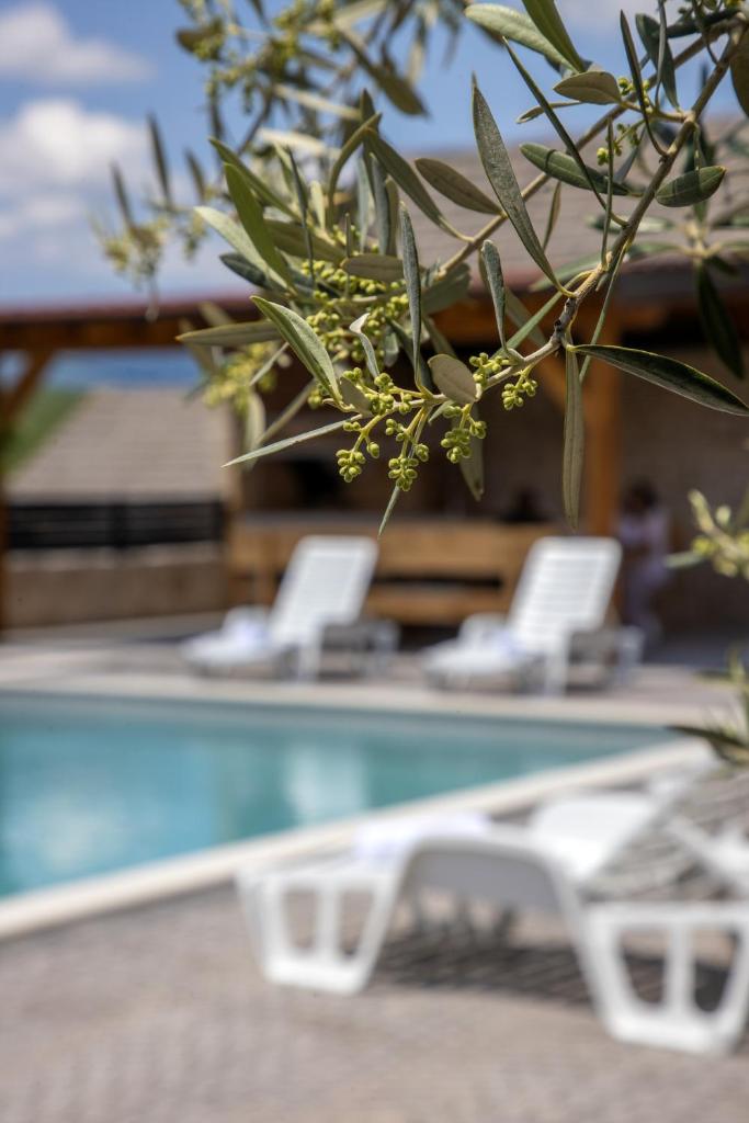 Villa Marija photo 2
