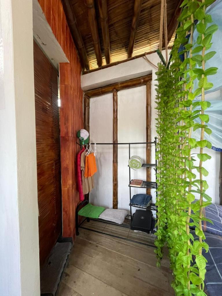 Mancora Sunset House photo 1