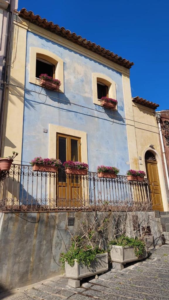 La Casetta Azzurra photo 2