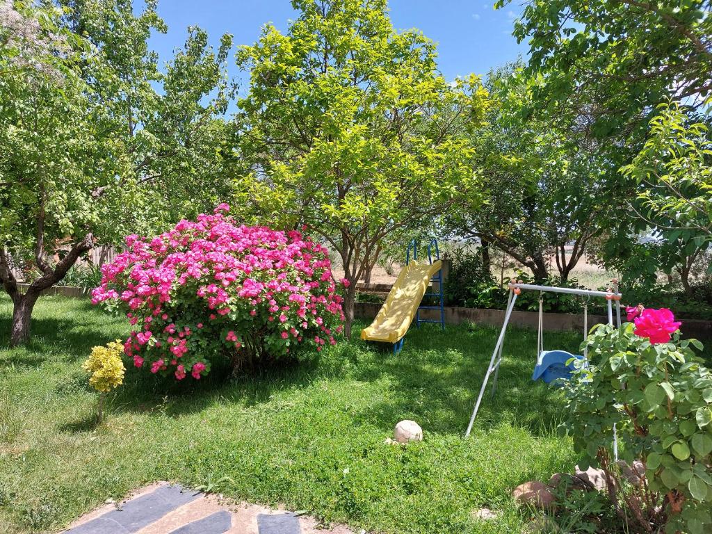 Villa el Gallo photo 1