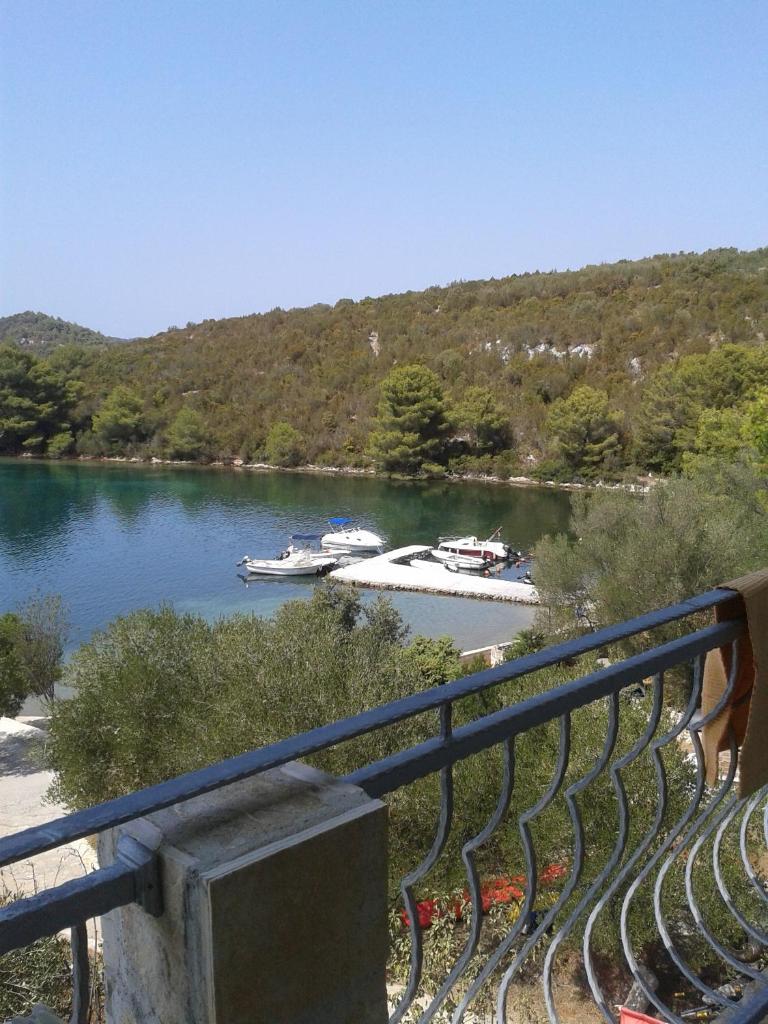 Apartmani Topolovec photo 4