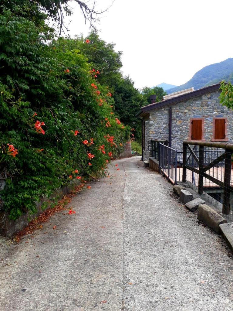 Old Village Linda - Tra Lunigiana & Cinque Terre photo 4