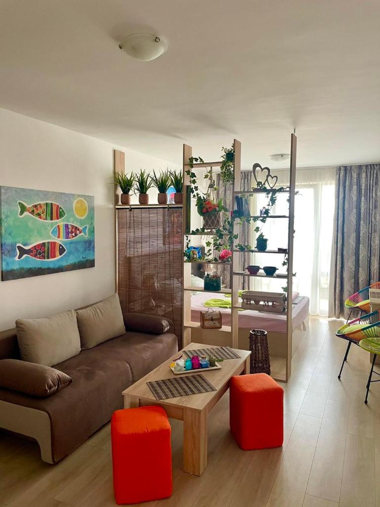 Perla Del Mar Studio PANORAMA First line photo 2