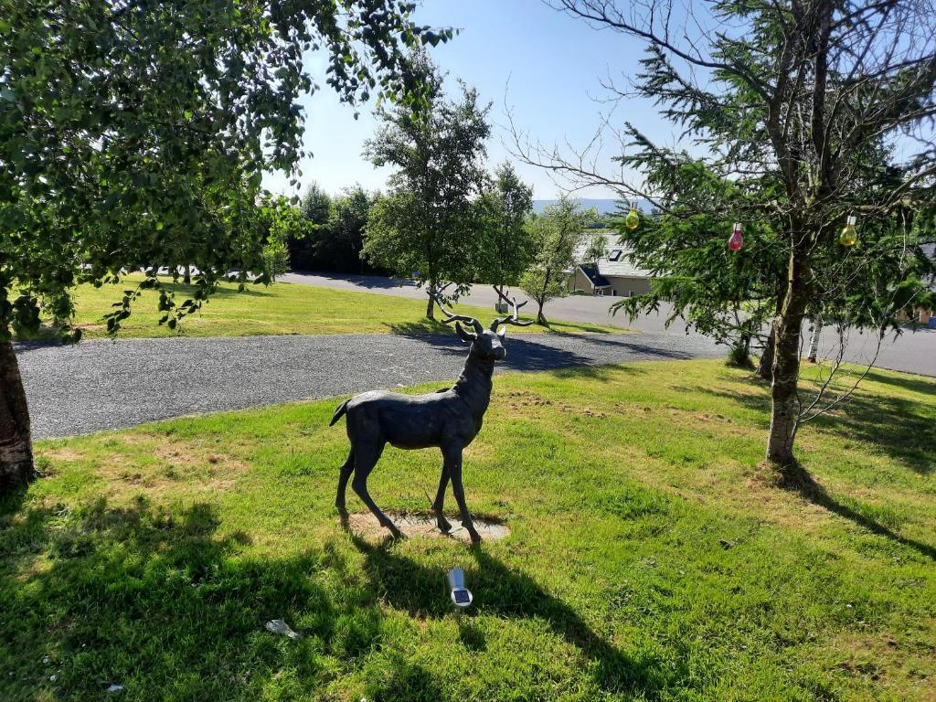 Stunning 55 Riverun on the banks of the lovely Riv photo 3