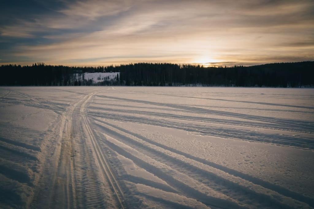 Log Cabin, forrest , sea view, north Sweden. photo 3