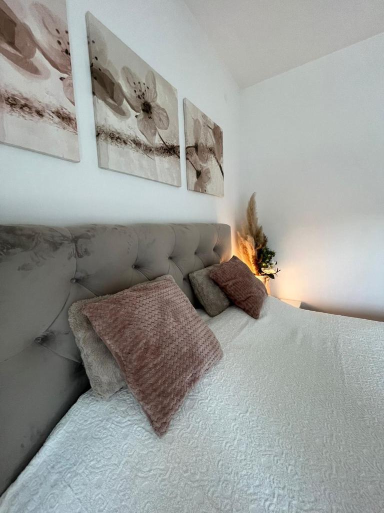 Omnia LUX photo 3