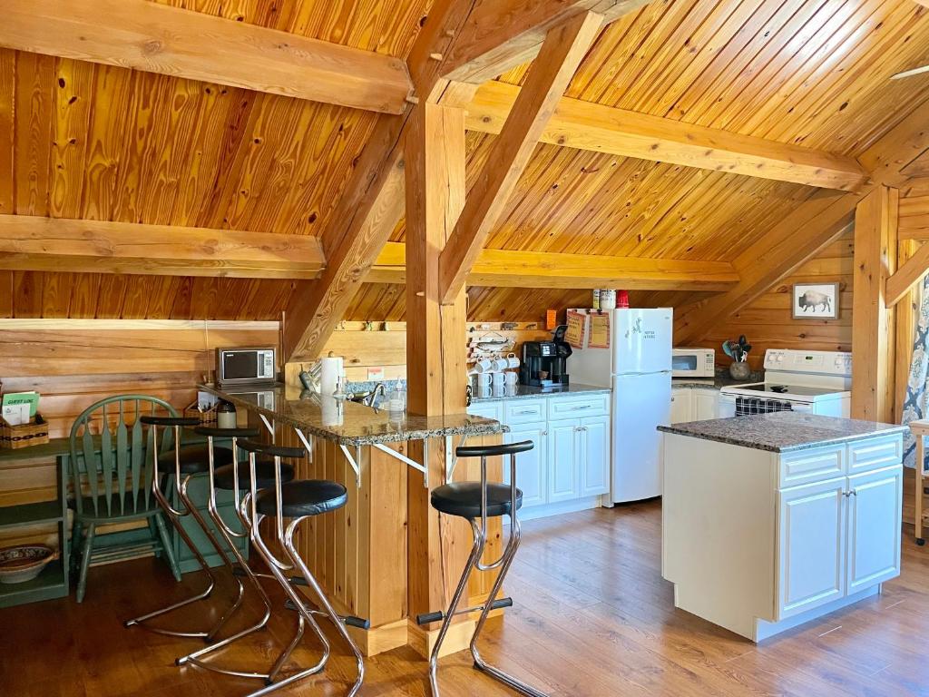 Spacious Salmon River Waterfront Lodge for 6 photo 4