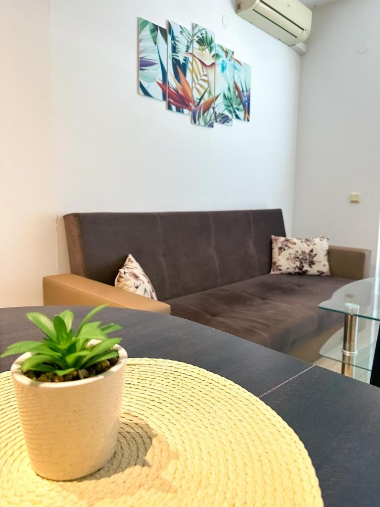Sunshine Romance Apartment photo 4