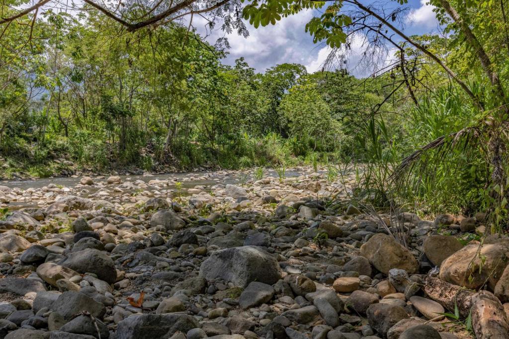 Uvita River Guesthouse photo 3