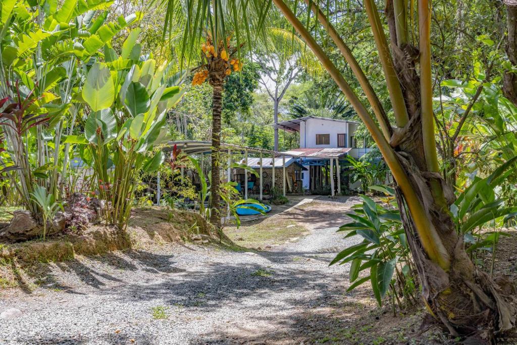 Uvita River Guesthouse photo 2