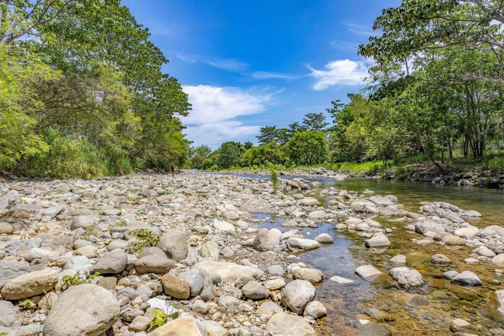 Uvita River Guesthouse photo 4