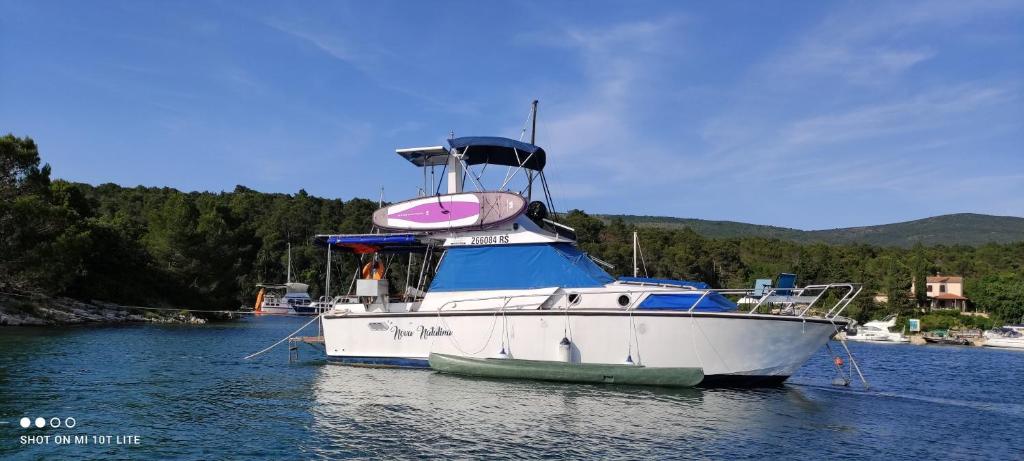 Traditional 2 bedroom houseboat Nova Natalina photo 1