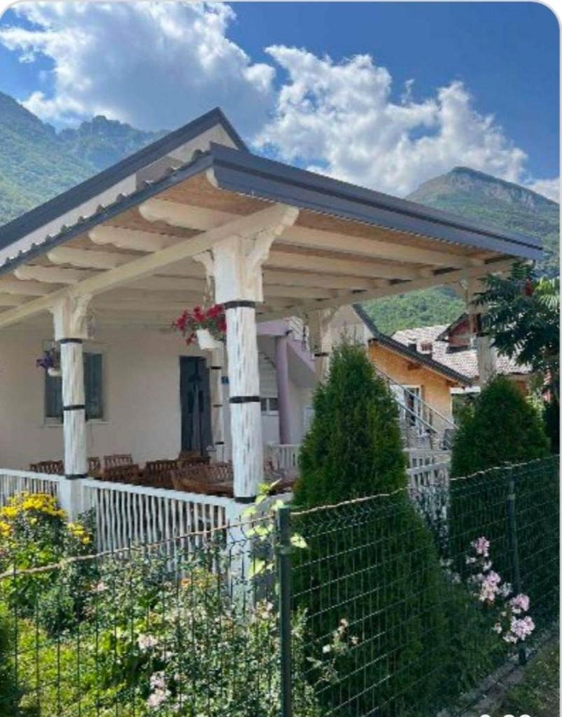 Lola Guest House photo 3
