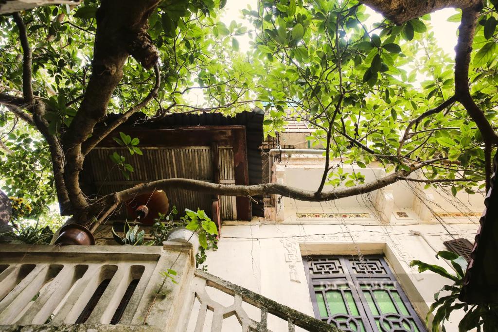 Singita Classy Boutique Hotel