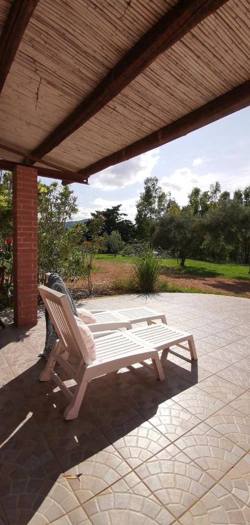Patio House photo 2