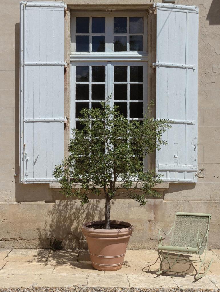 Château Marcellus photo 3