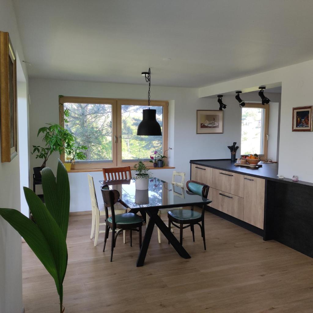 Apartma Slatina photo 4