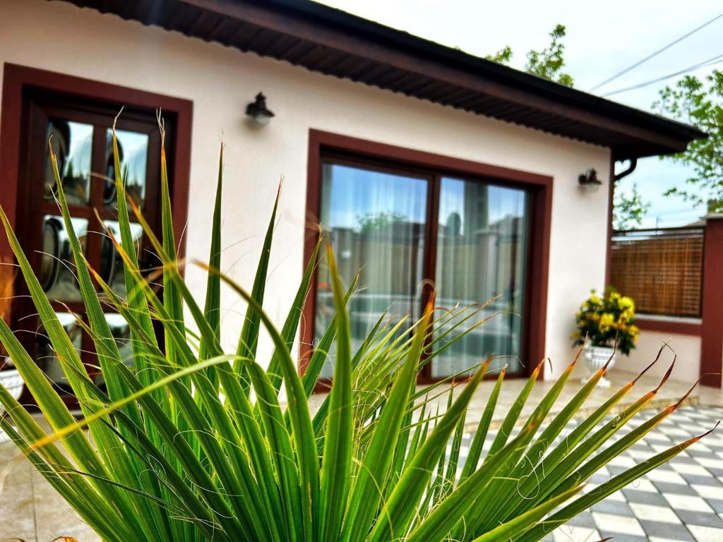 Casa Maria photo 2