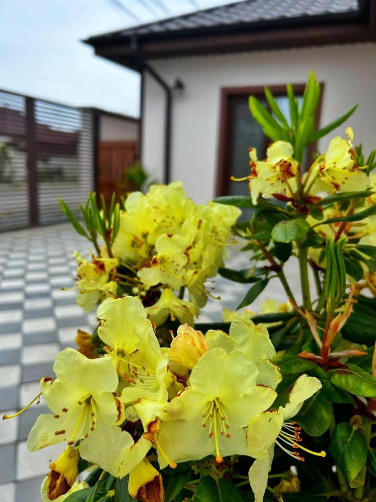 Casa Maria photo 1