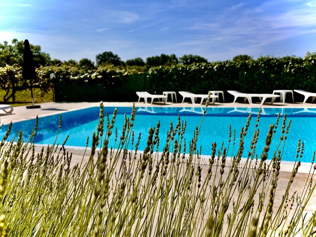 Pansion Villa Margerita photo 1