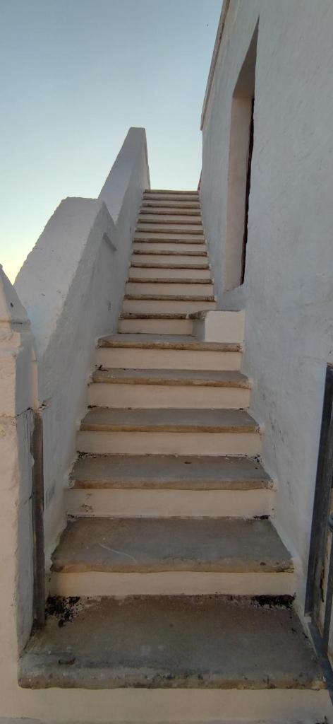 Masseria Le Mesolecchie di Rodio Renato photo 4