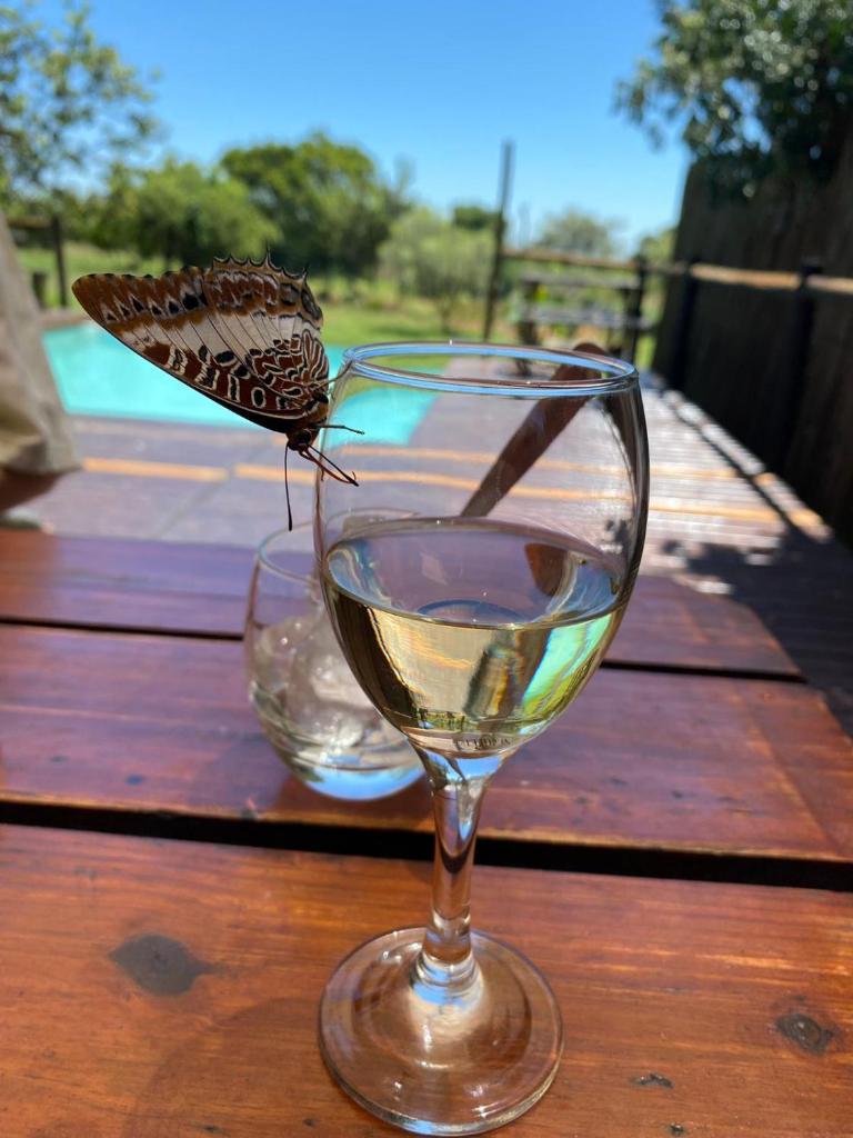 Tranquillity Day Spa & Lodge photo 1