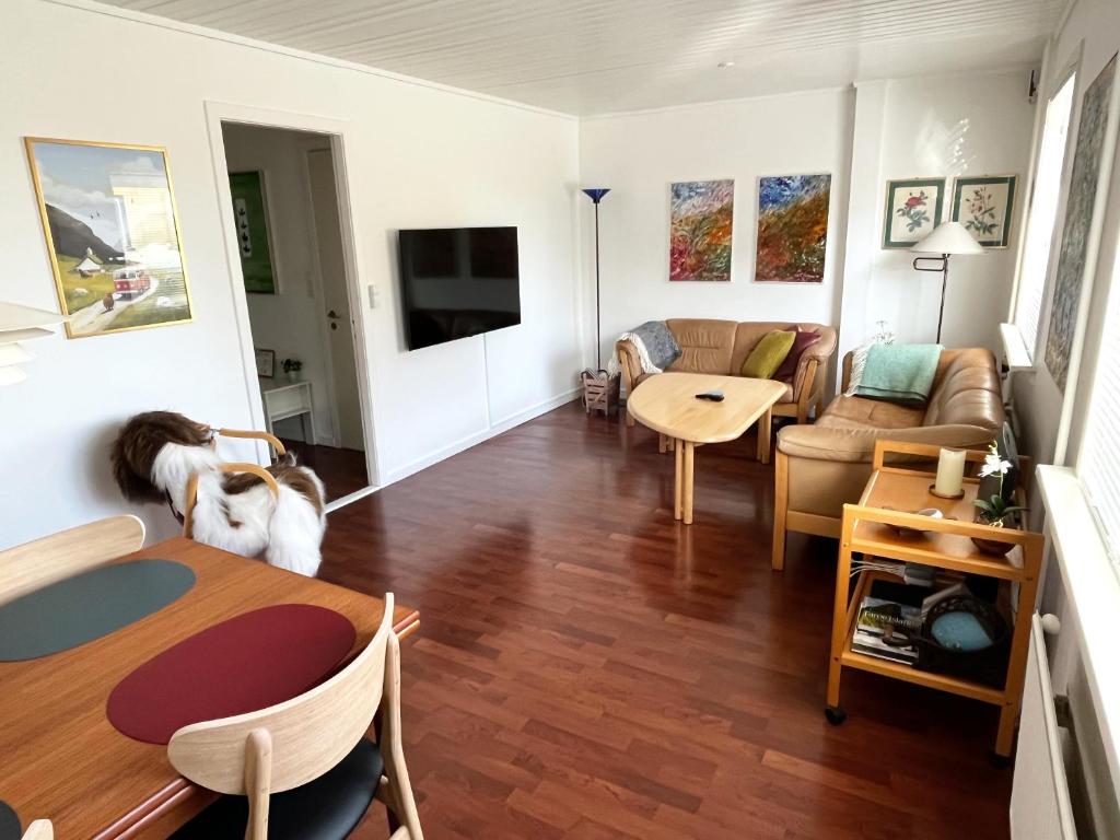 Cosy apartment near beach, marina & city centre photo 1