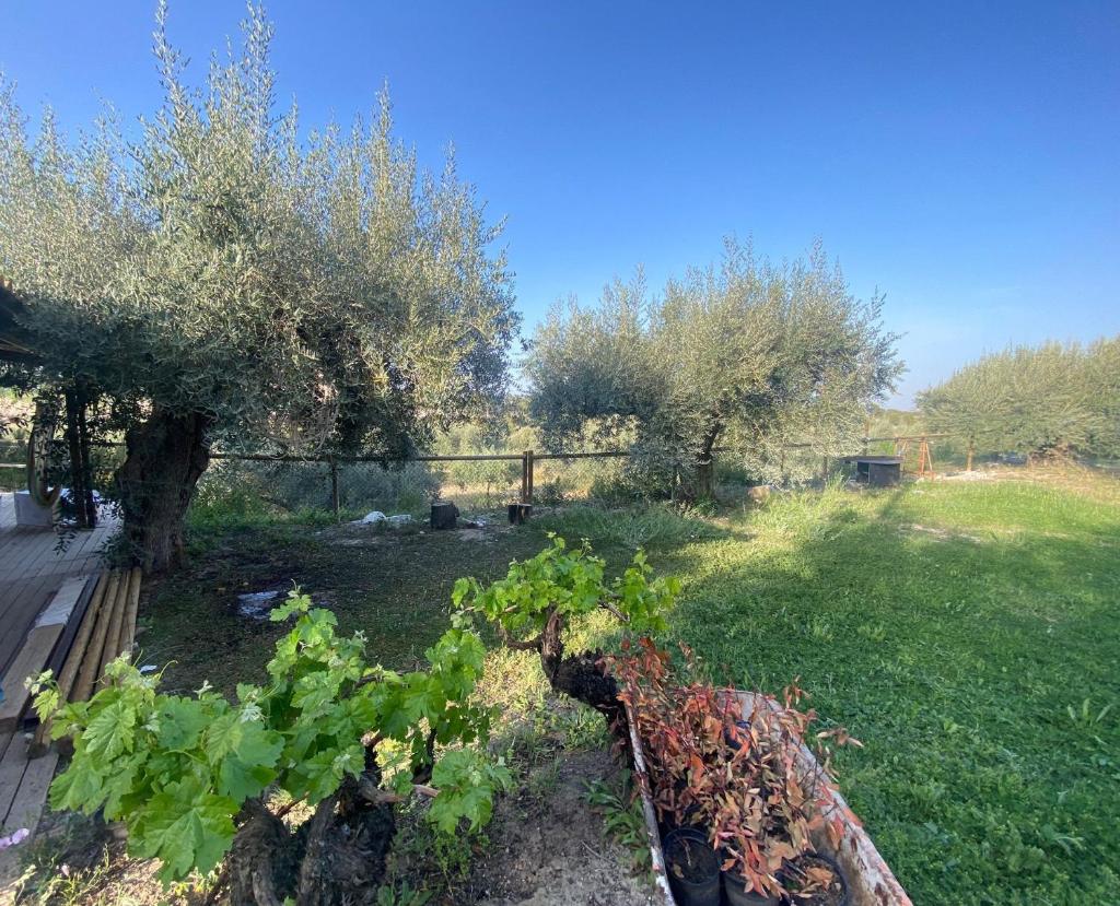 CasaRuibella photo 2