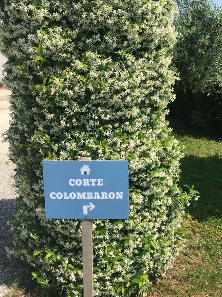 CORTE COLOMBARON vicino a Gardaland photo 1