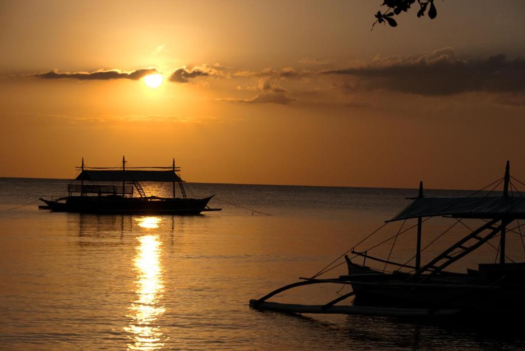 Easy Diving and Beach Resort photo 4