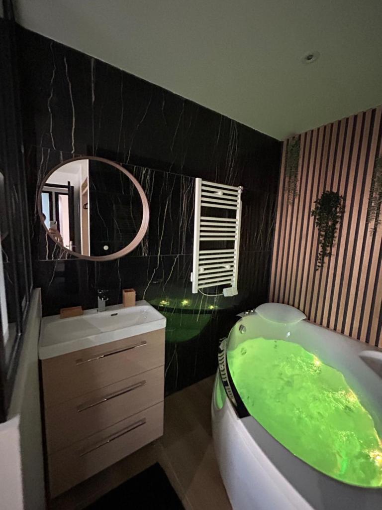 T4 jolie vue avec jaccuzzi photo 4