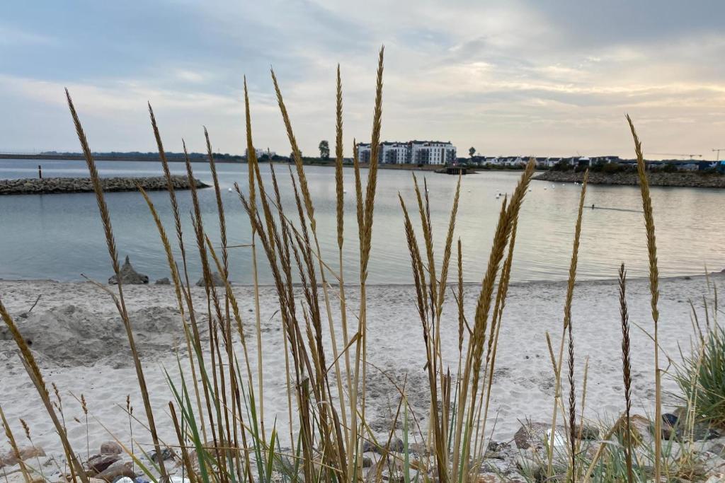 Fewo 3-13 Ostsee photo 1