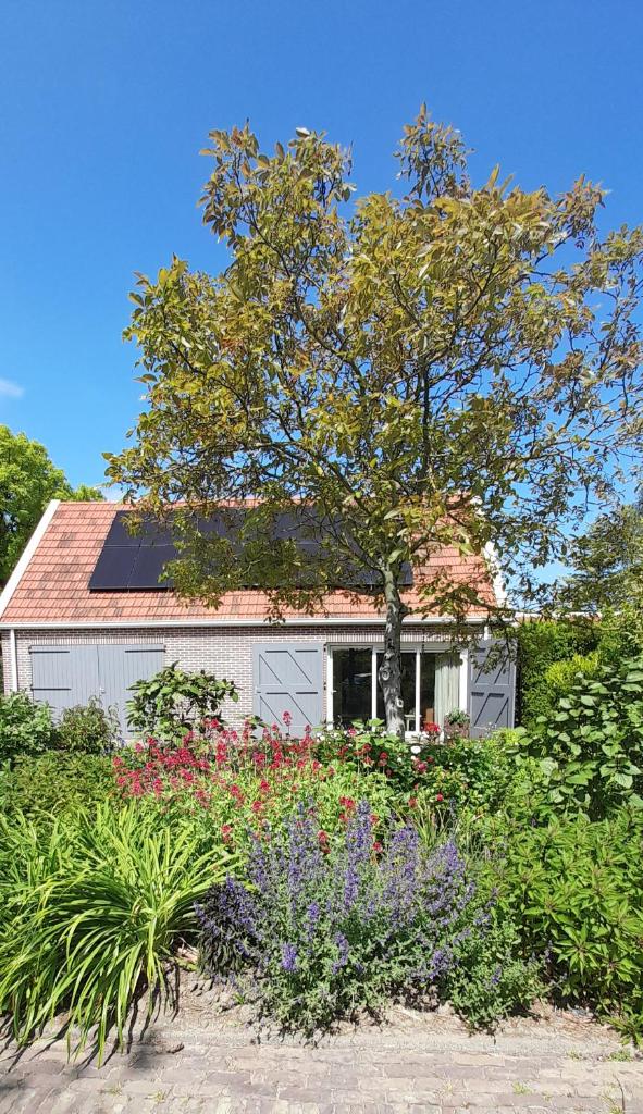 B&B Sonnehuys photo 1