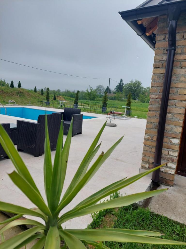 Imanje sa bazenom photo 2