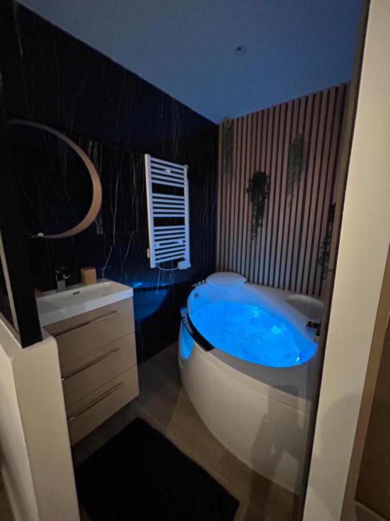 T4 jolie vue avec jaccuzzi photo 3