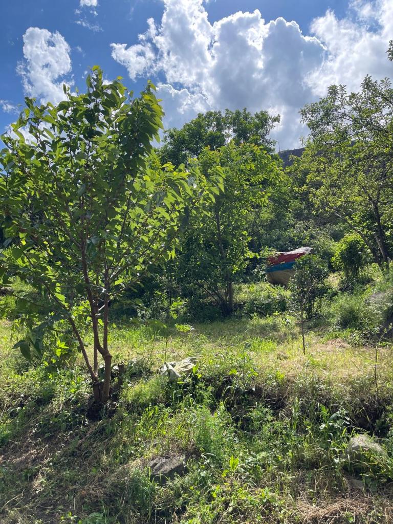 Rafting House photo 2