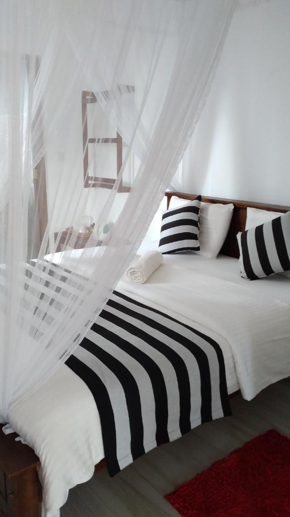Holly House Homestay photo 2