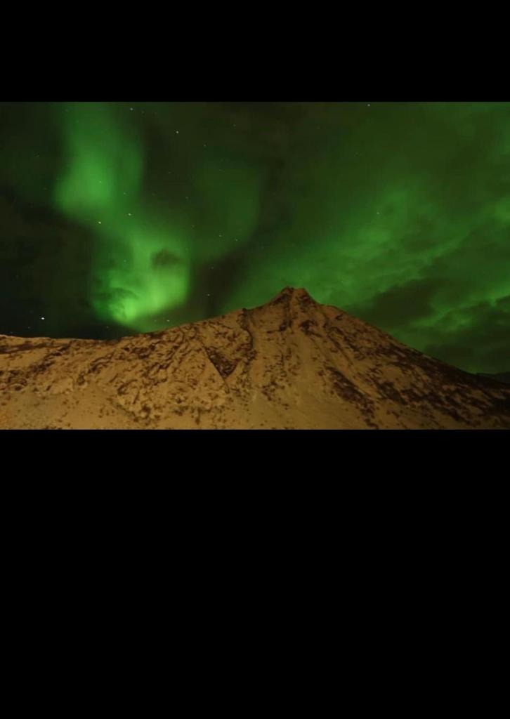 Senja Villa photo 1