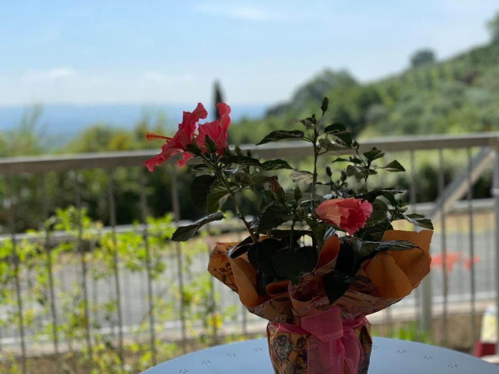 A Casa Di Silvia photo 2