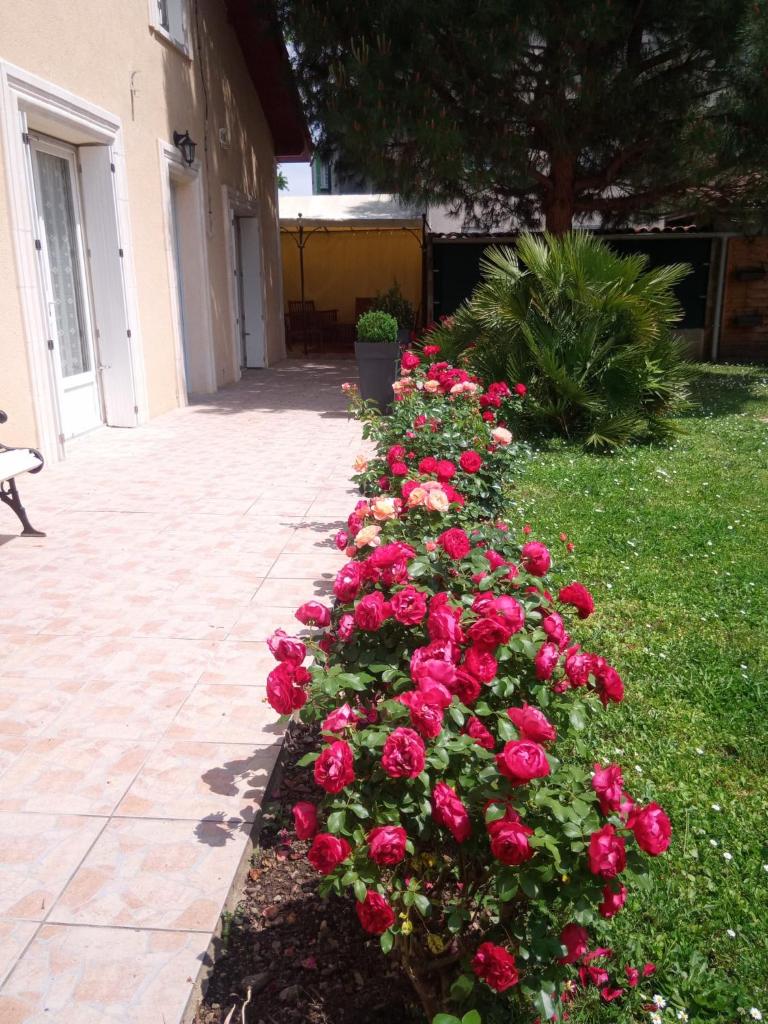 Au coeur de Bergerac photo 3