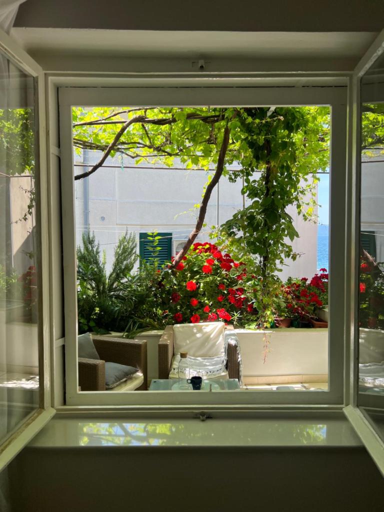 Center town apartment Lipa Mala