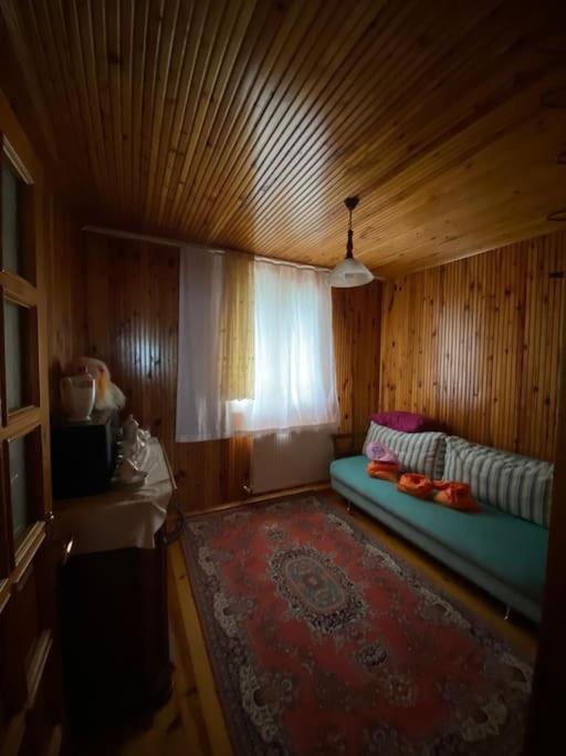 Doğayla iç içe Kiralık Villa photo 4