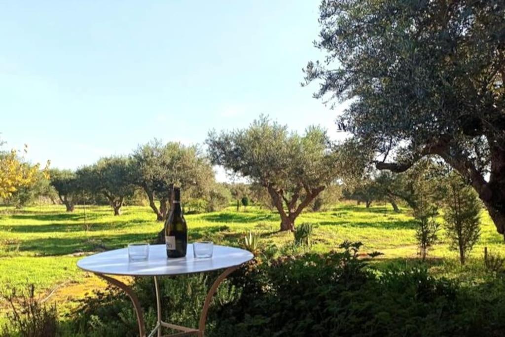 Oikos Wooden Retreat photo 1