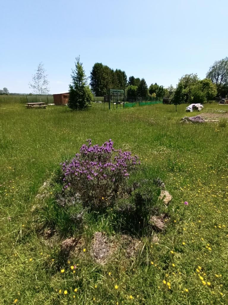 Les Cabanes d'Hérande - Le Millésime photo 2