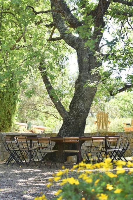 Domaine de Matourne photo 3