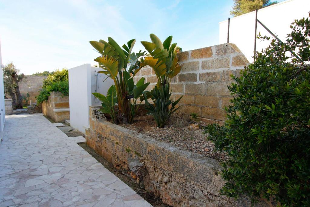 Villa Mariella photo 1