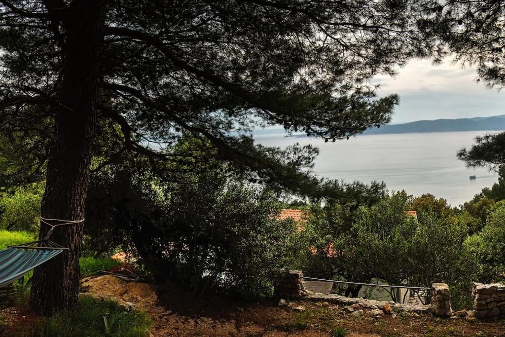 Holiday home Raos - a special stonehouse, Brela photo 1